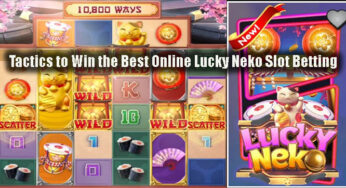 Tactics to Win the Best Online Lucky Neko Slot Betting