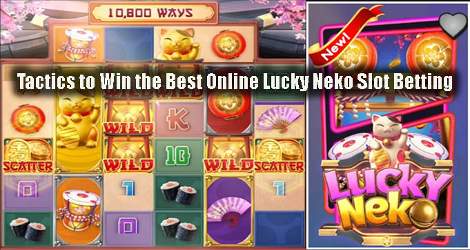 Tactics to Win the Best Online Lucky Neko Slot Betting